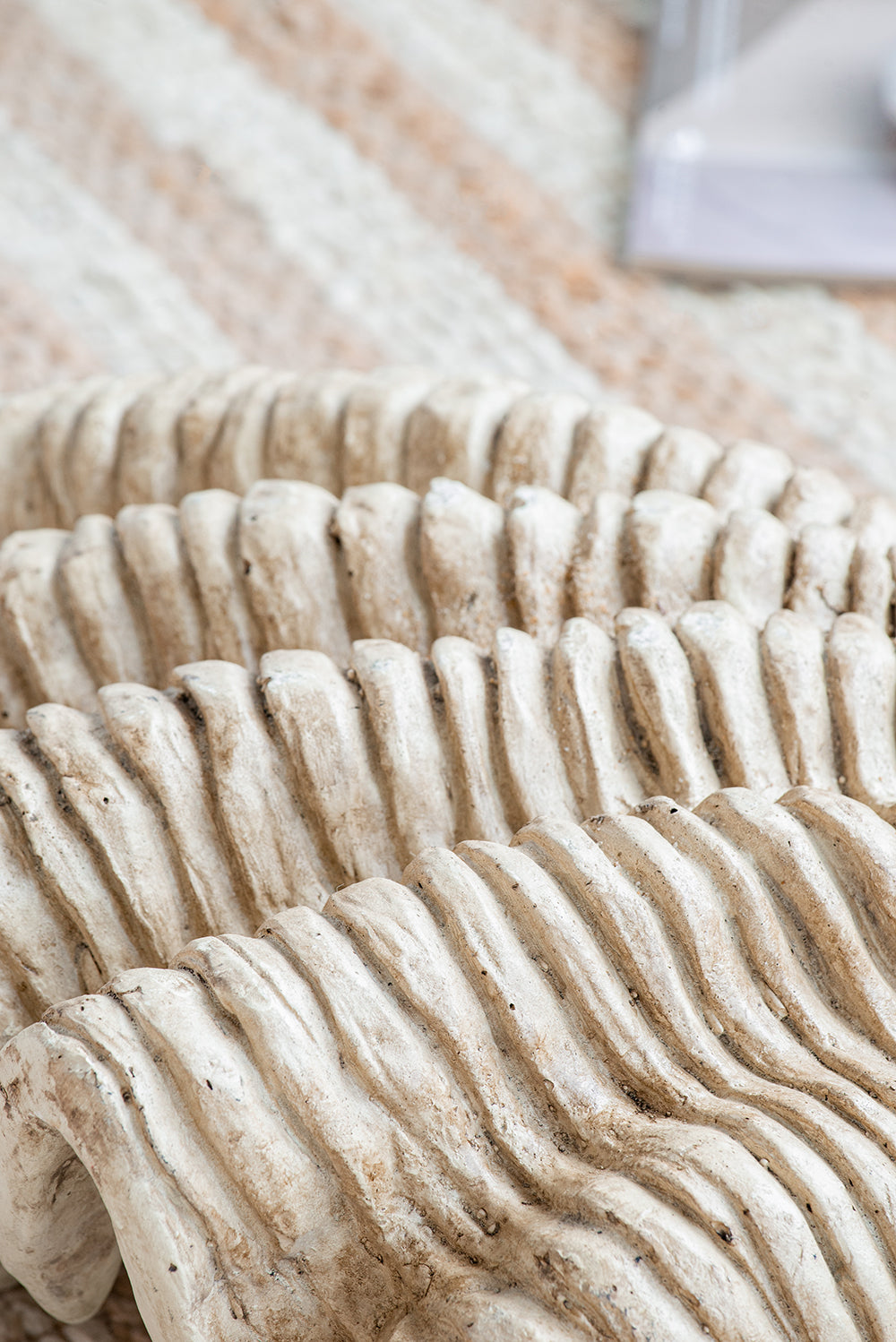 Medium Clam Shell Accent, photo 7 of 10