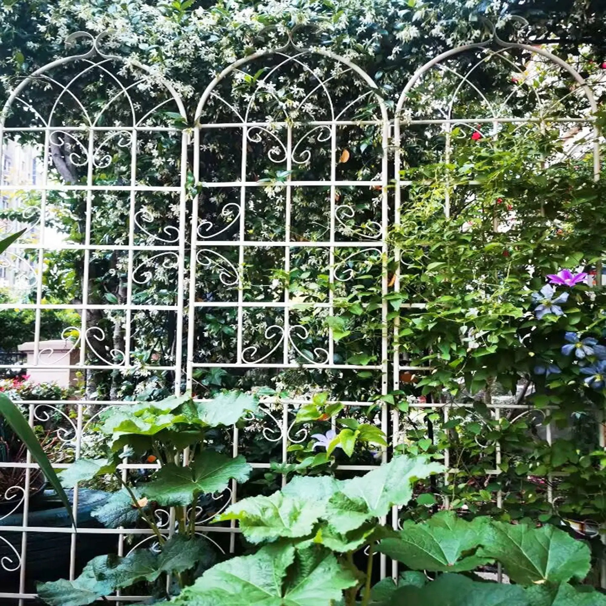 Metal Garden Rustproof Trellis For Climbing Plants Outdoor Flower Support by Unique Piece Furniture