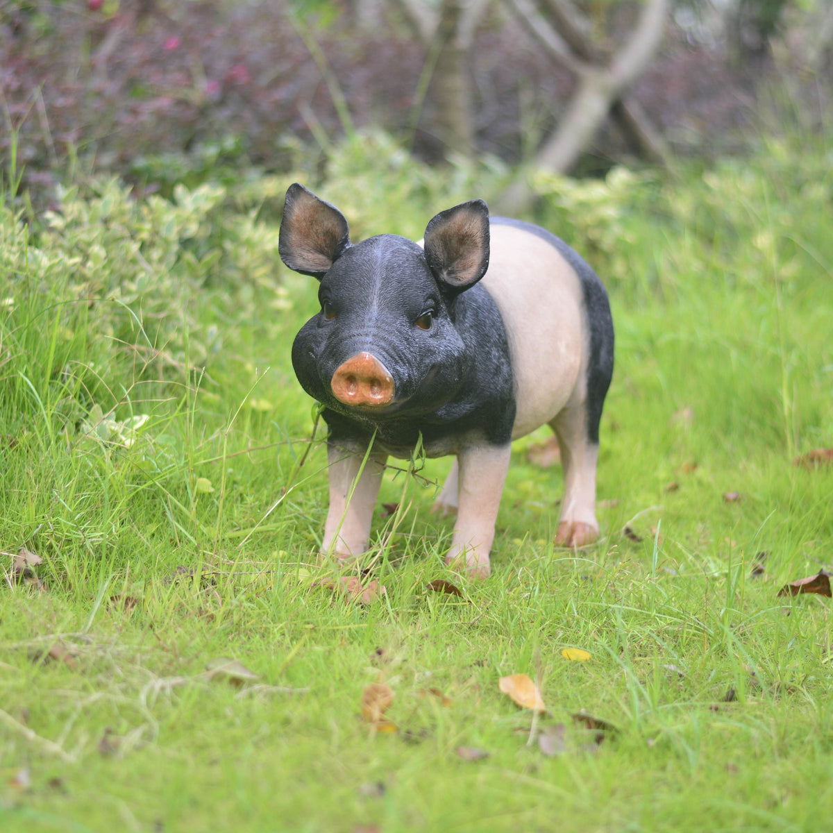 Garden Pig Statues Outdoor Decor with Realistic Hand-Painted Finish - Resin, photo 10 of 10