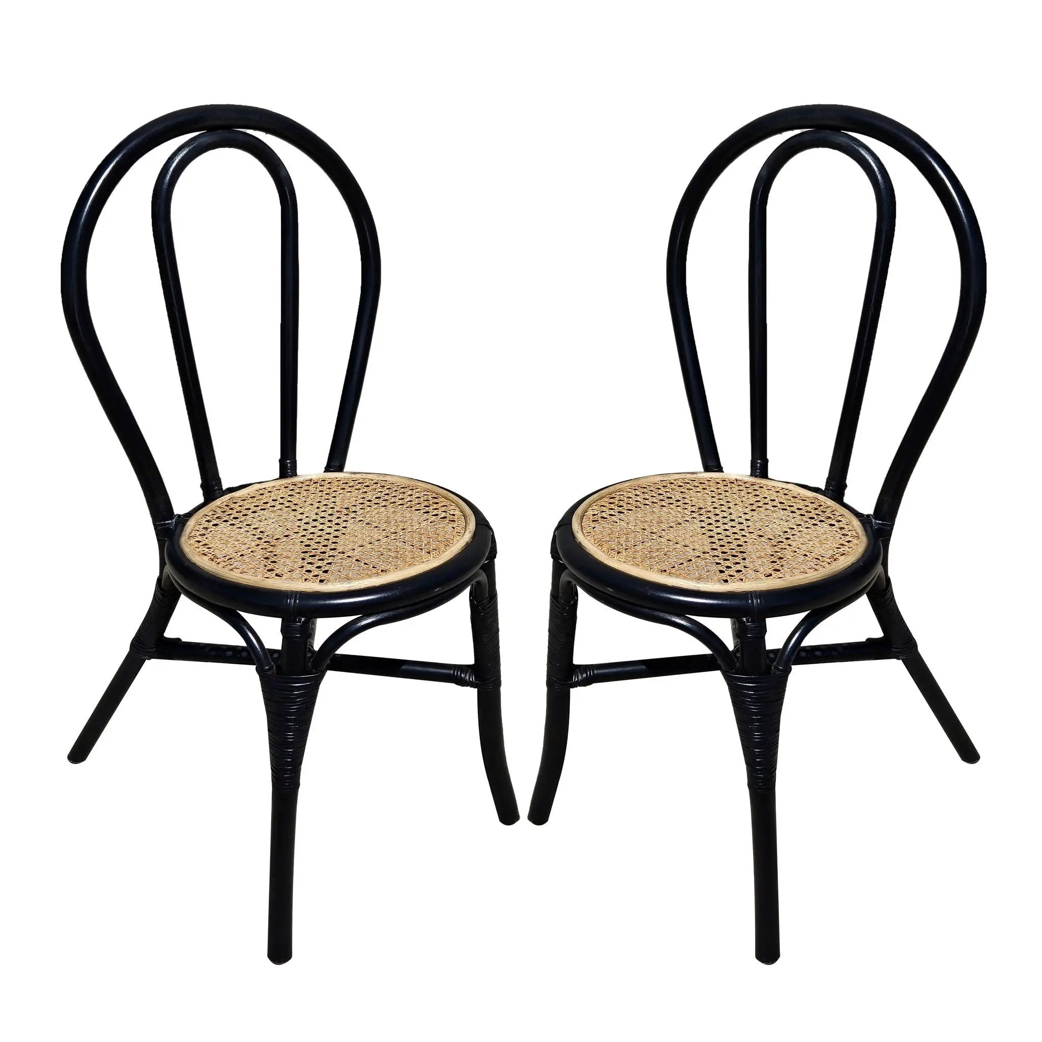 Rattan Dining Chair (Set of 2) - Black Multi by HouseOfZazla
