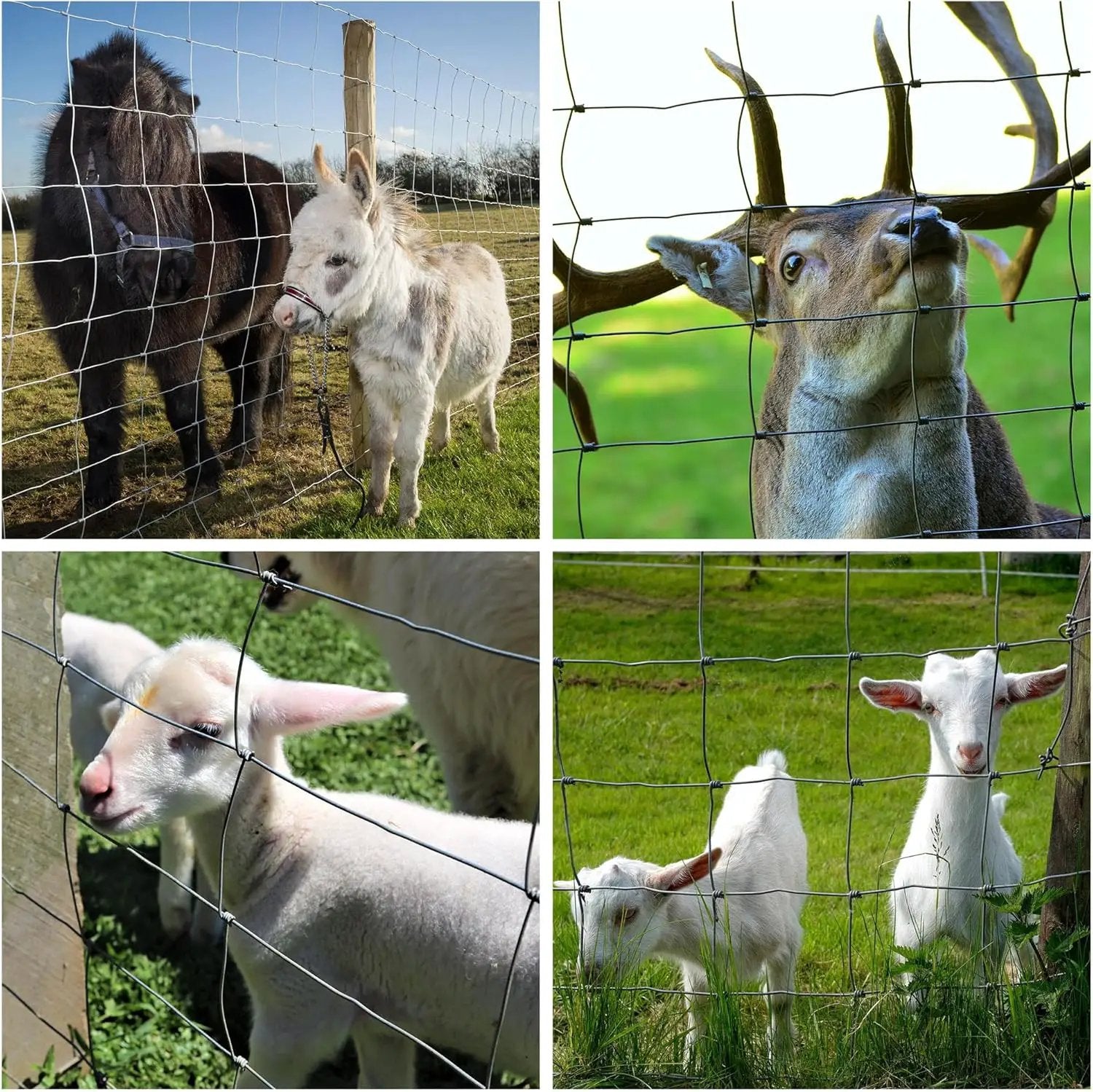 Farm Fence - 3ft x 164ft Heavy Zinc Coated Cattle Fence by HouseOfZazla
