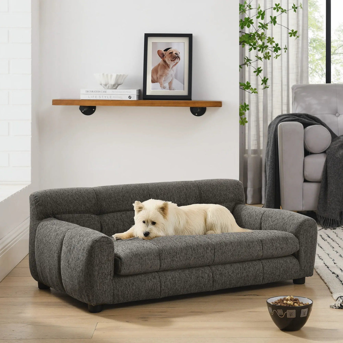 Modern Pet Sofa With Backrest And Armrests by HouseOfZazla