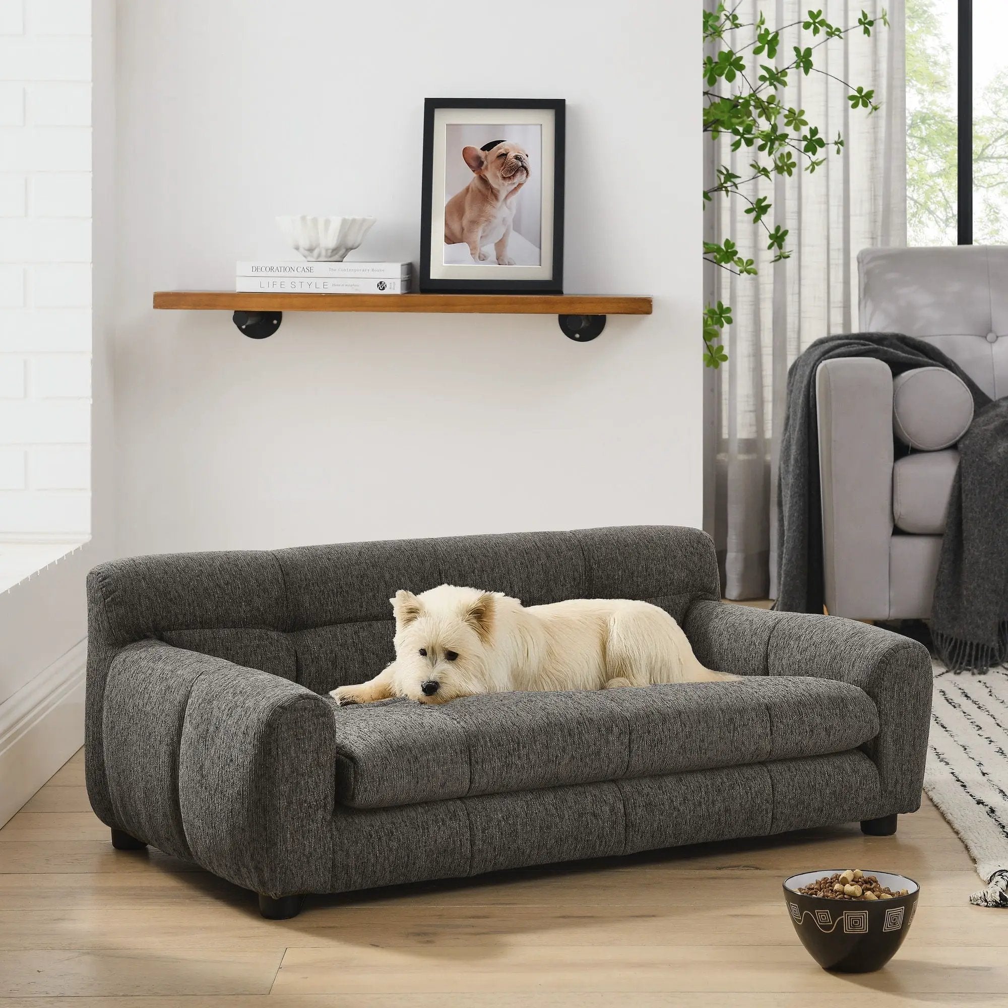 Modern Pet Sofa With Backrest And Armrests by HouseOfZazla