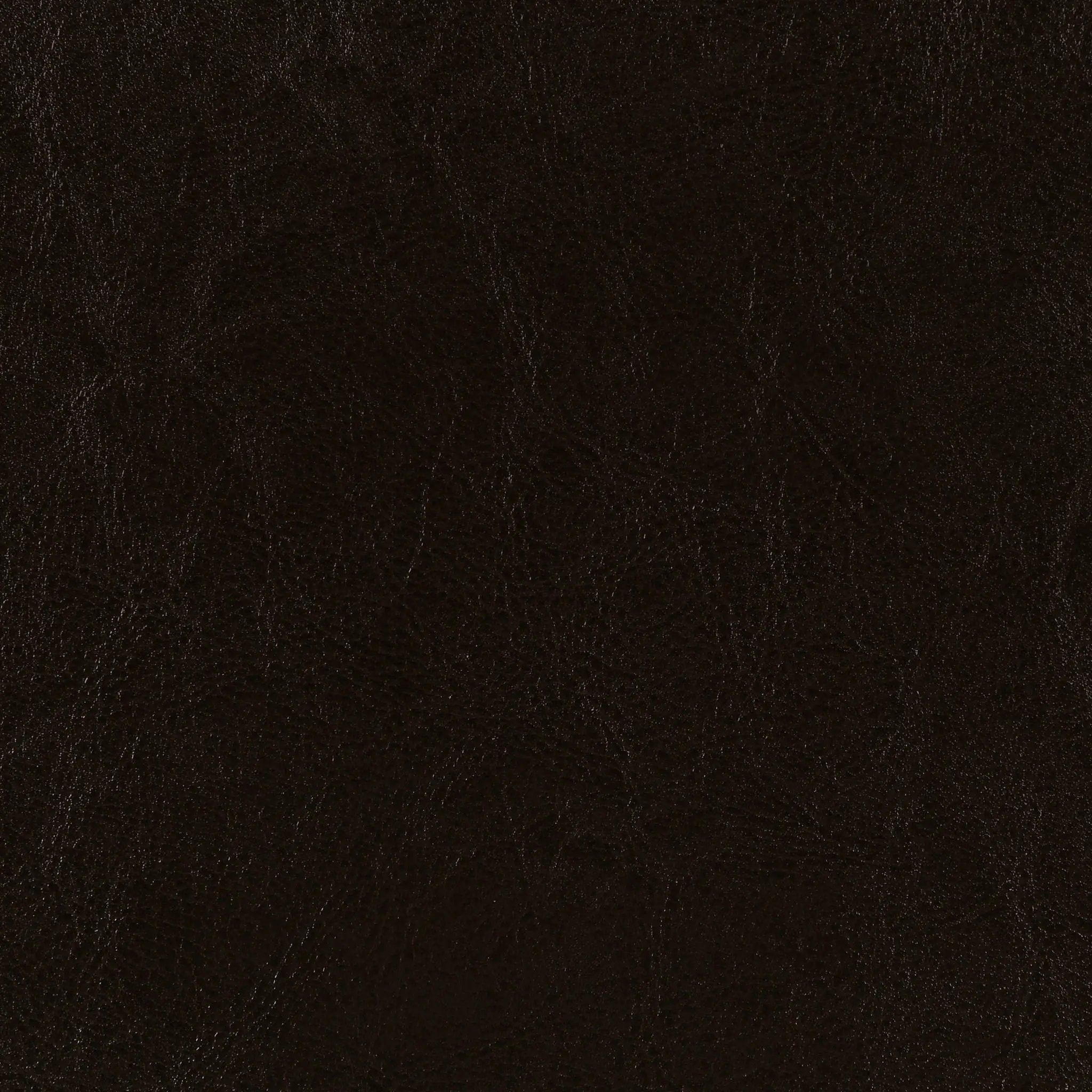 Dorian Faux Leather Upholstered Twin Panel Bed Brown by Unique Piece Furniture