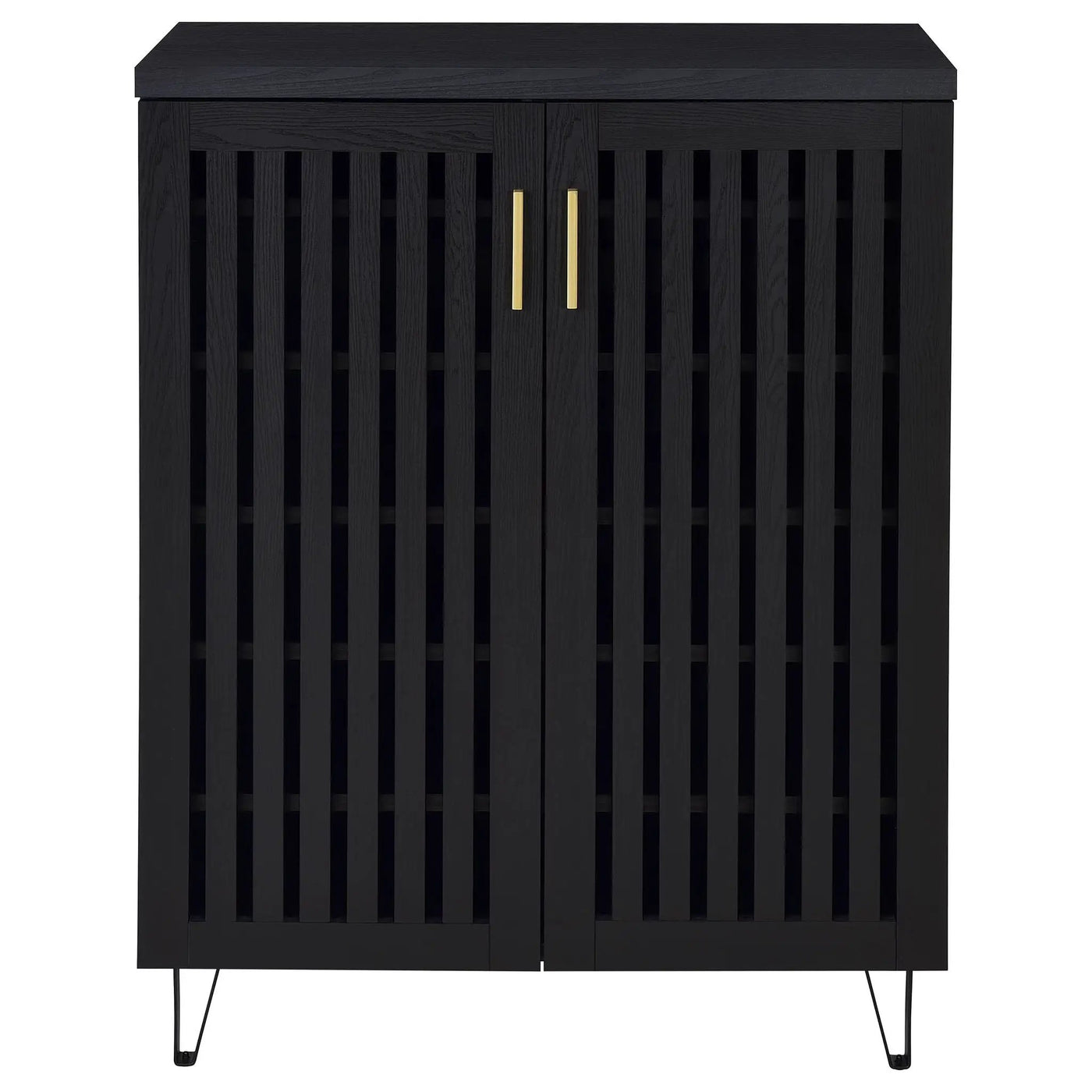Clackamas - 2 Door Storage Cabinet With Adjustable Shelves by HouseOfZazla