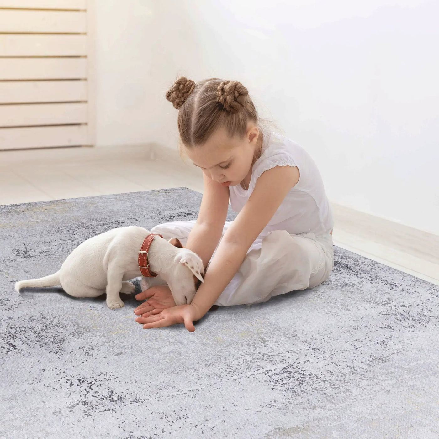 Maval - Stunning Area Rug, Washable by HouseOfZazla