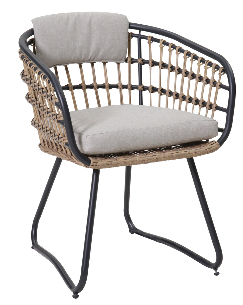 Outdoor Wicker Dining Chairs Set of 2 with Cushions by HouseOfZazla