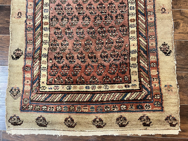 Antique Persian Sarab Runner Rug 3x11, Wool Camel Hair, Tribal Carpet for Hallway 3 x 11, Antique 1920s Rug, Handmade by Jewel Rugs