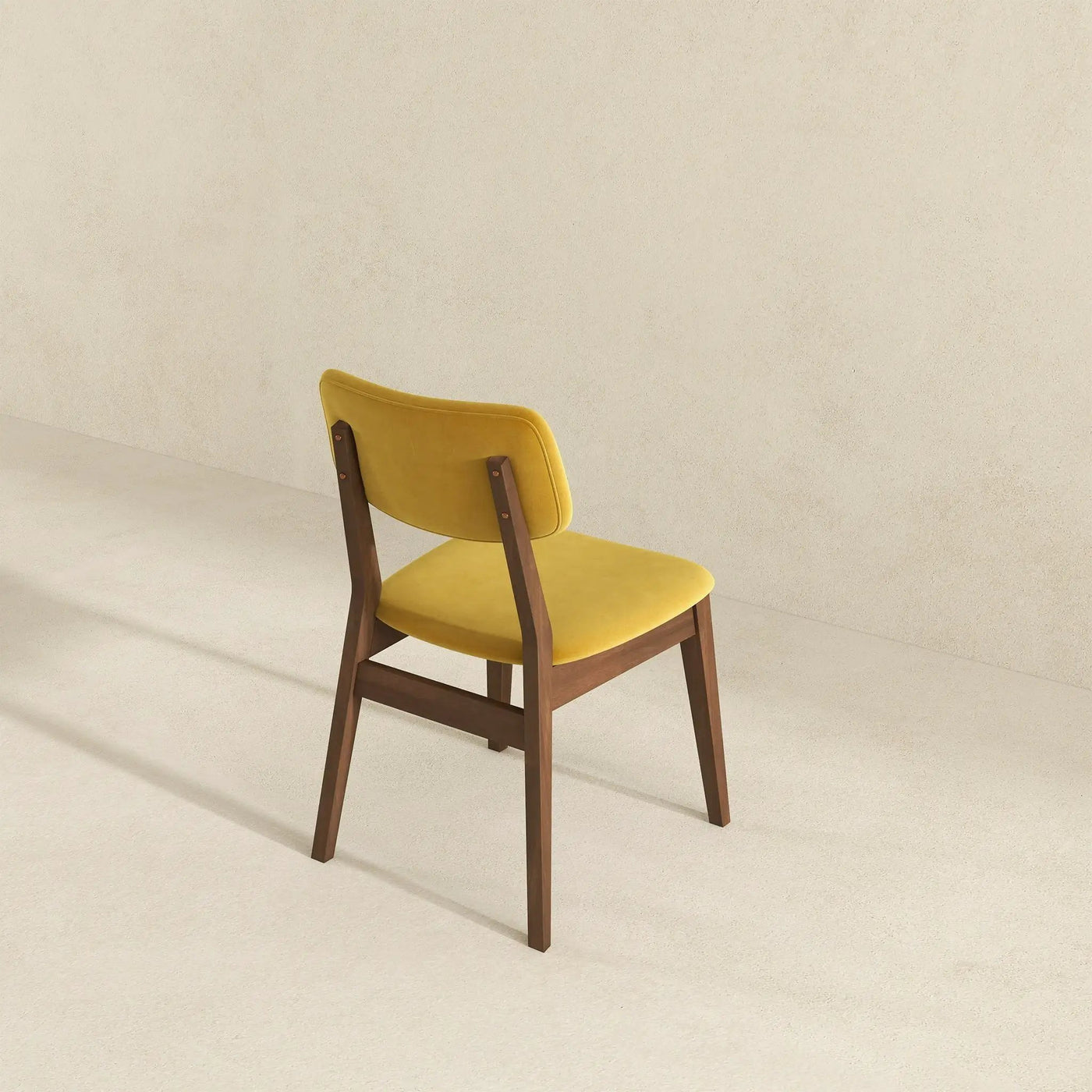 Carlos - Solid Back Side Chair (Set of 2) by HouseOfZazla