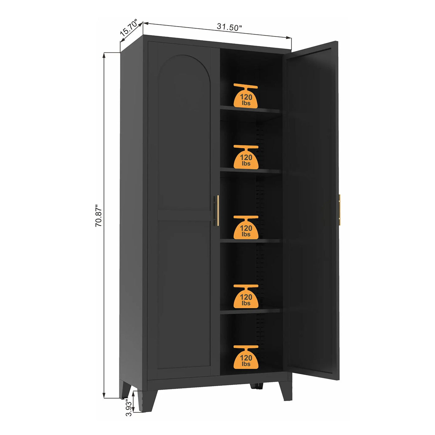 Shapely Doors Cabinet, Metal Storage Cabinet With Doors And Adjustable Shelves by HouseOfZazla