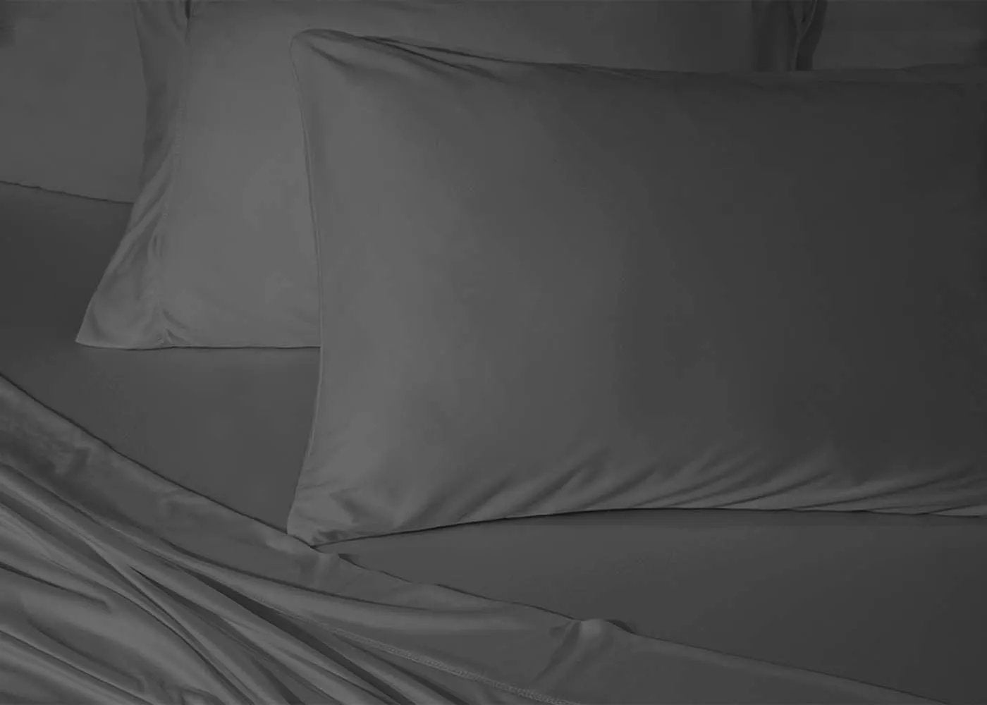 BedGear Dri-Tec Queen Pillowcase Set by HouseOfZazla