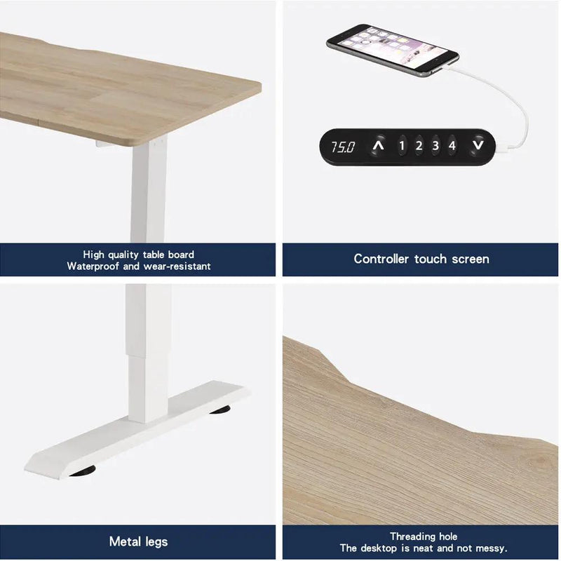 55"×24" Light Electric Standing Desk by HouseOfZazla