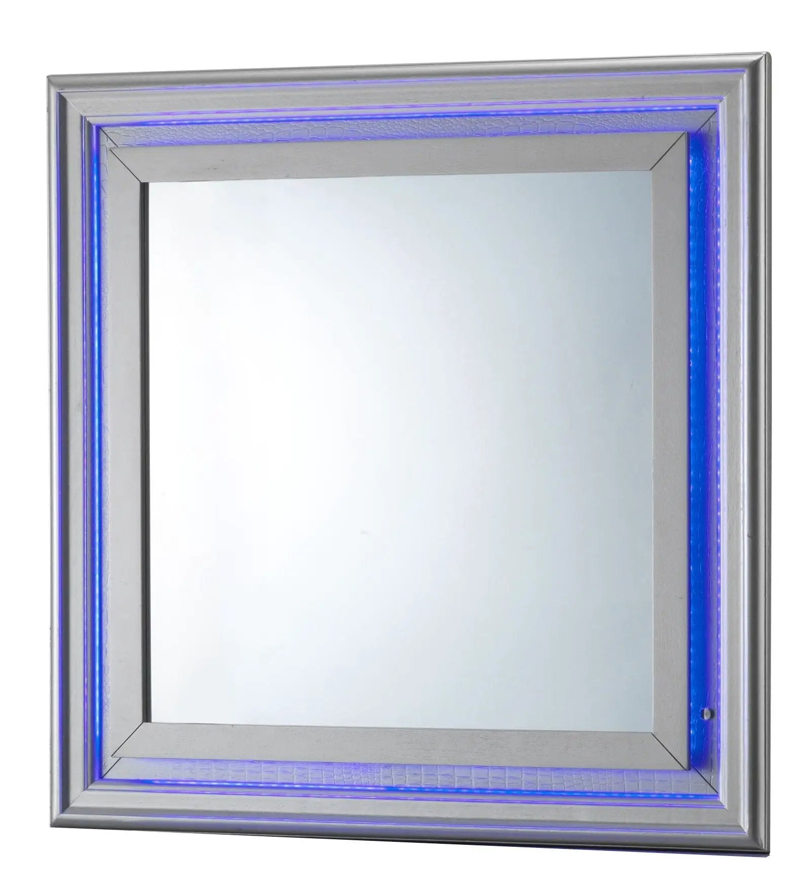 Lorana - Elegant Transitional LED Mirror by Unique Piece Furniture