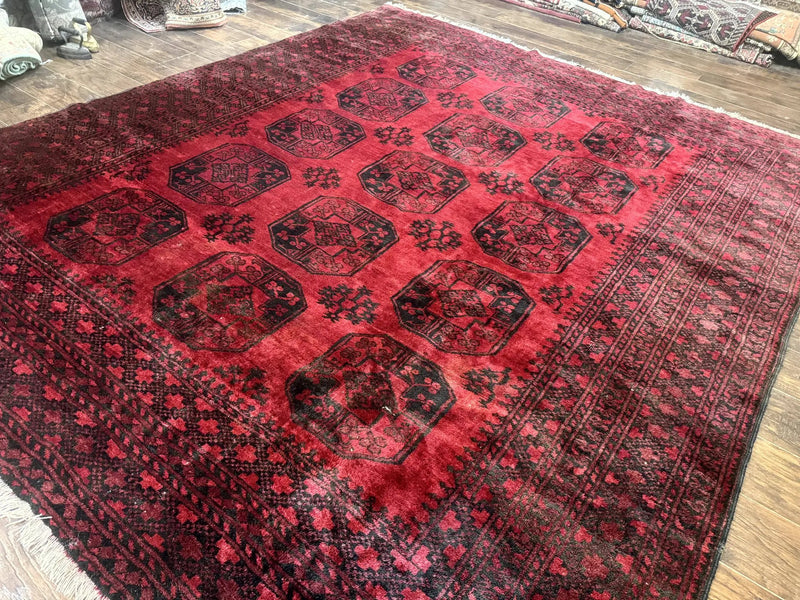 Afghan Turkoman Rug 9x10, Red Beshir Carpet, Tribal, Wool, Antique by Jewel Rugs
