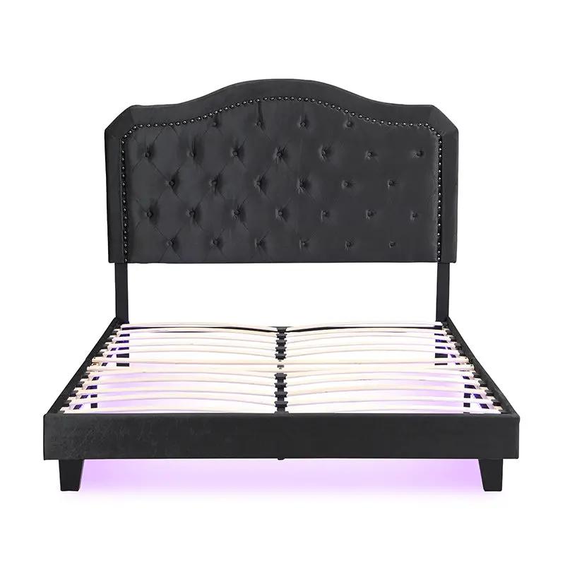 Queen Upholstered Bed Button Tufted with Curve Design by HouseOfZazla