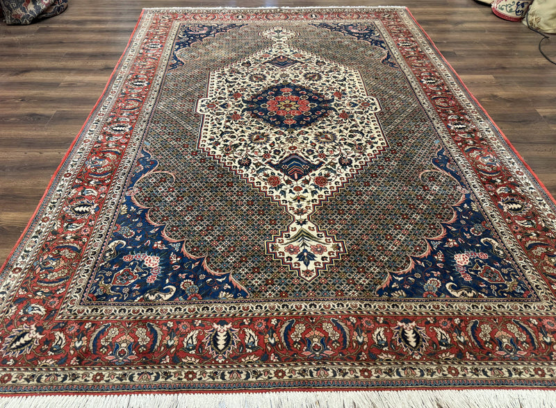 Persian Rug 7x10, Bakhtiari Saman Rug, Unique Design and Colors, Ivory Red Blue, Large Tribal Rug by Jewel Rugs