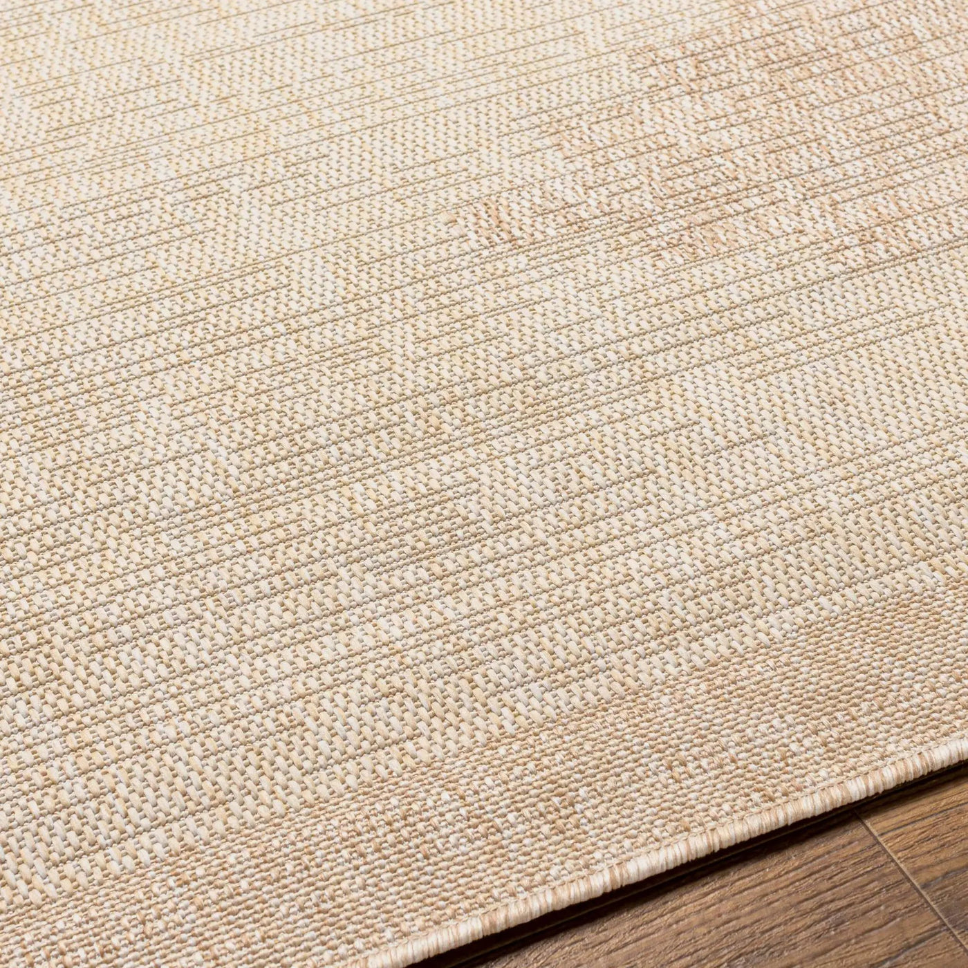 Djugun Beige Indoor & Outdoor Rug by Boutique Rugs