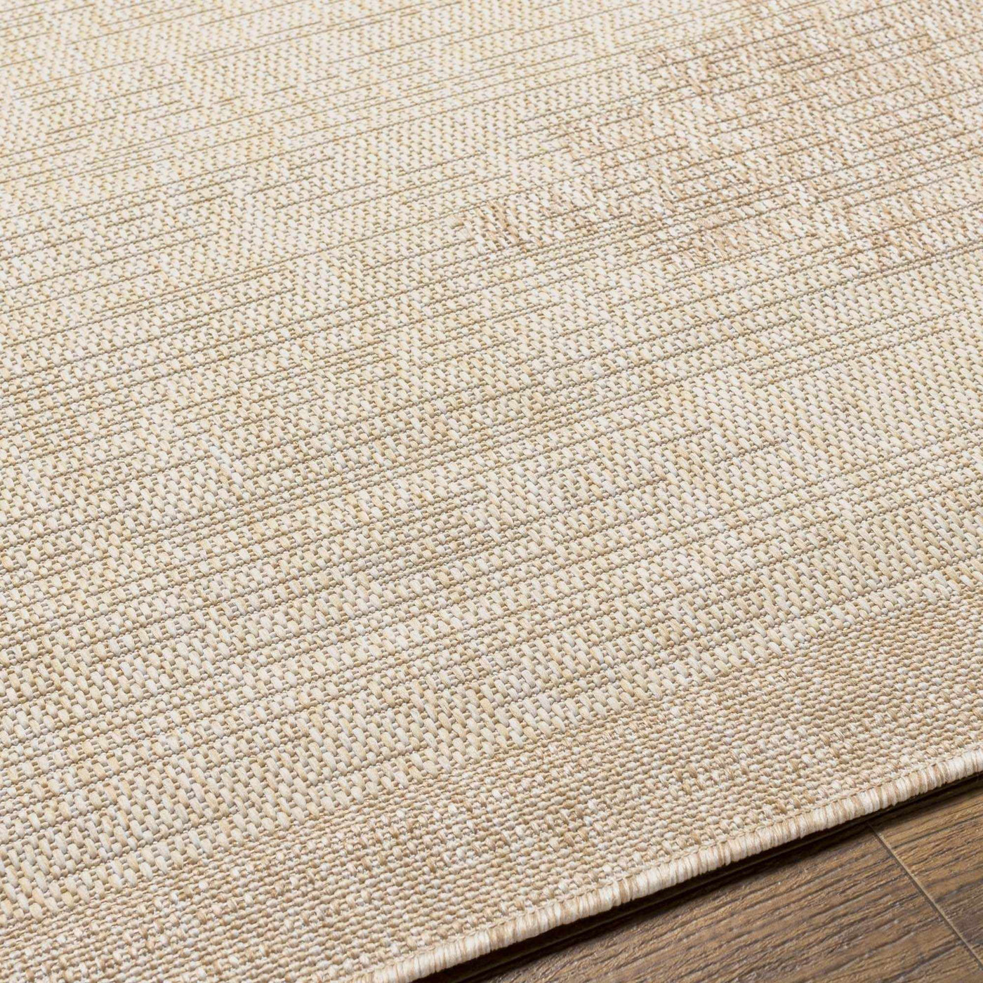 Djugun Beige Indoor & Outdoor Rug by Hauteloom