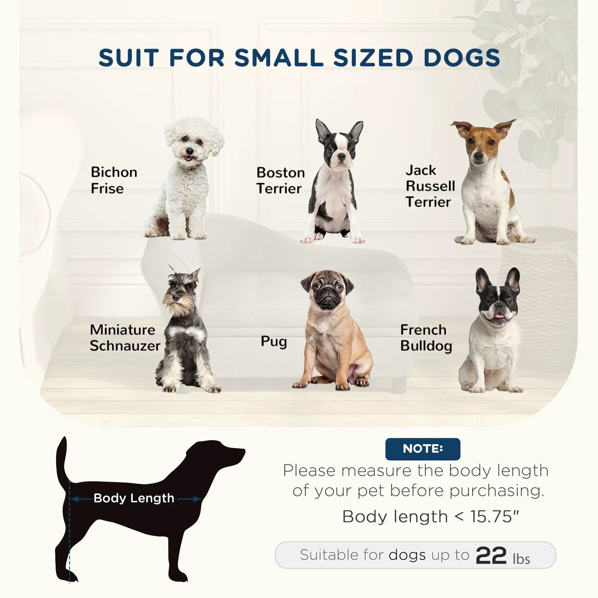 Pet Sofa Dog Sofa for Small Dogs with Storage by HouseOfZazla