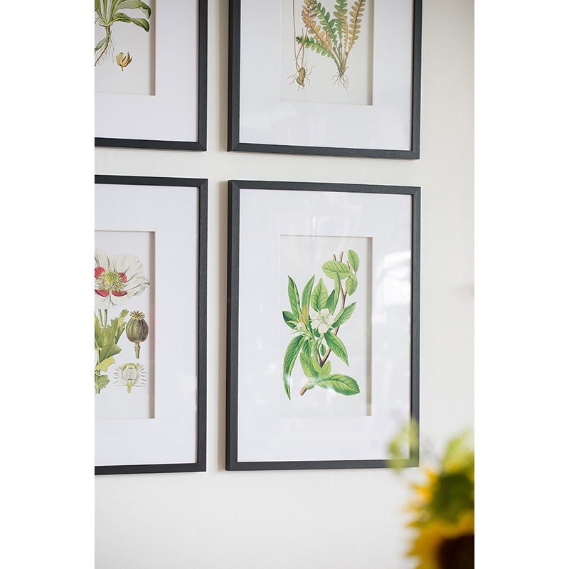 Botanical Flower Wall Art Set of 4 with Framed Prints - White / Blue, photo 13 of 15