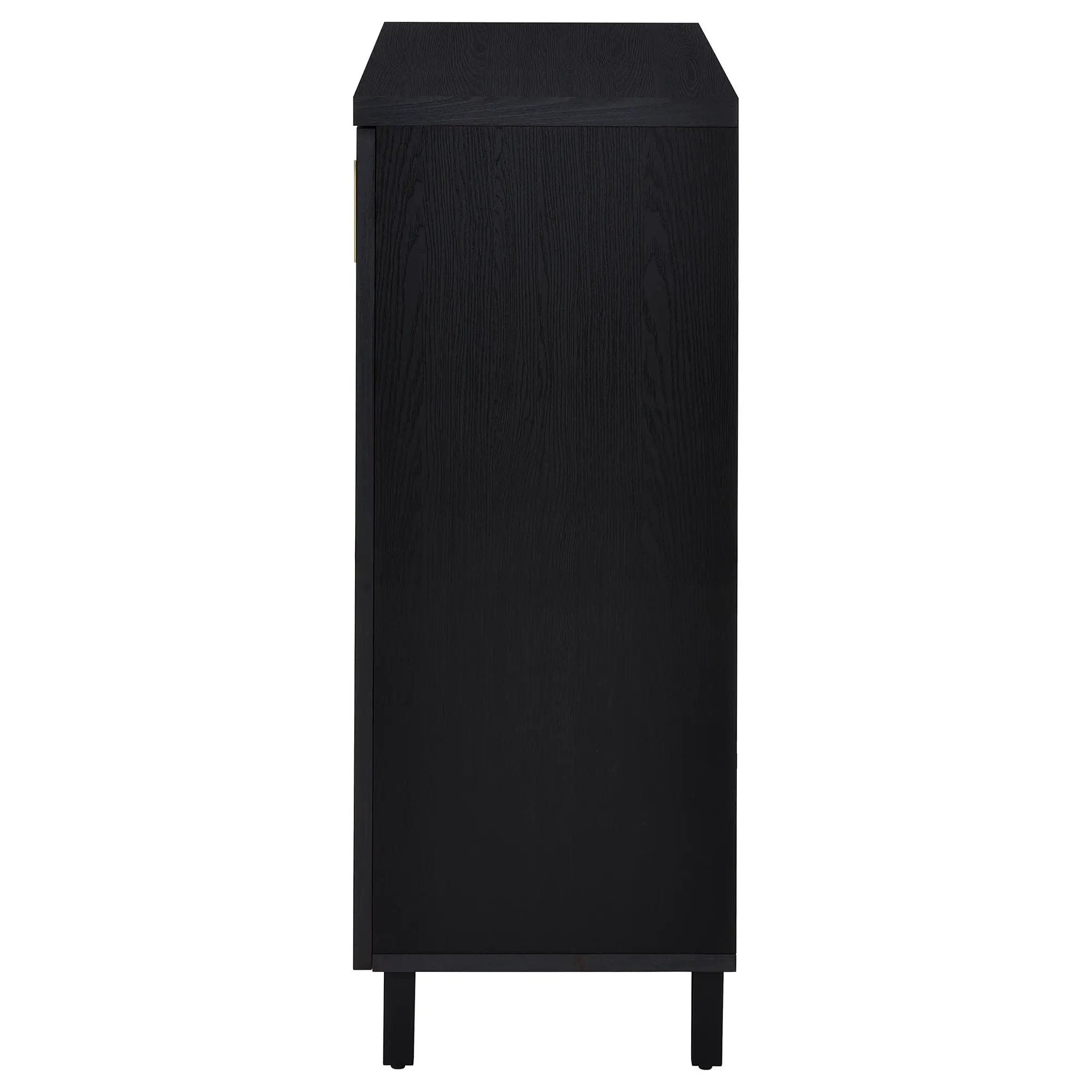 Brixton 2-door Entryway Shoe Storage Cabinets Black by Unique Piece Furniture