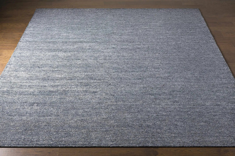 Lecompton Solid Charcoal Viscose Rug - Clearance by Boutique Rugs