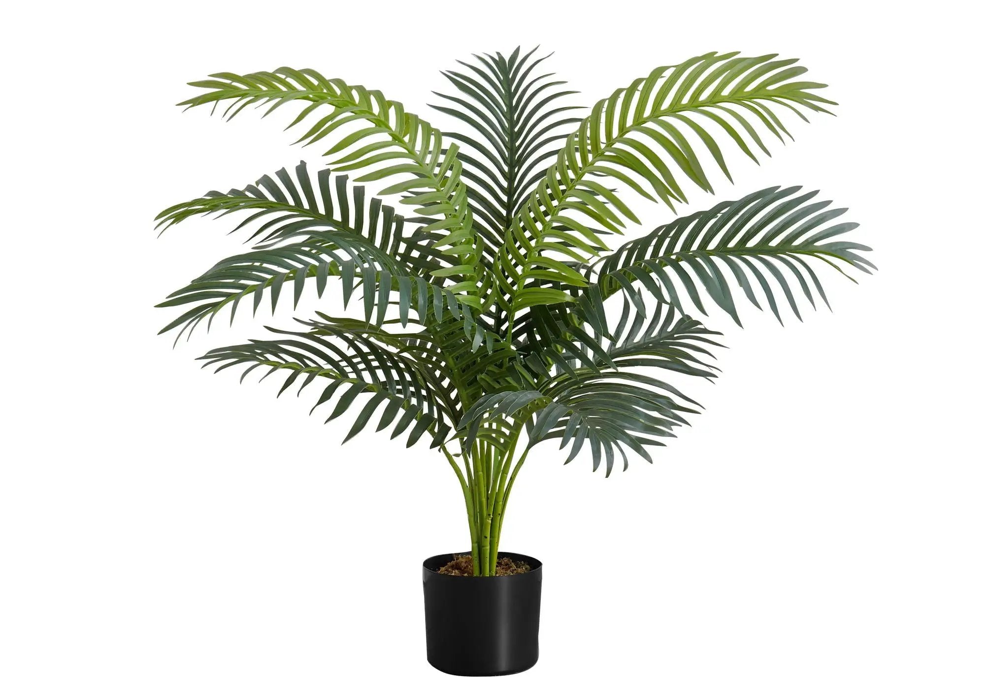 34" Tall, Artificial Plant, Palm Tree, Indoor, Faux, Fake, Floor, Greenery, Potted, Real Touch, Decorative - Green / Black by Unique Piece Furniture