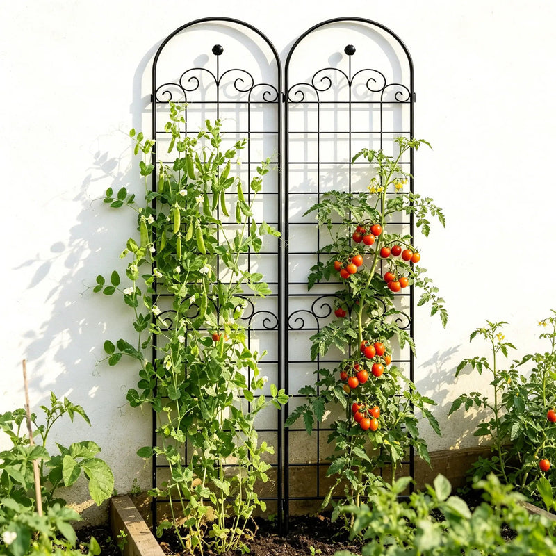 Metal Garden Trellis For Climbing Plants Outdoor Rustproof Plant Support Rose Trellis Netting Trellis by Unique Piece Furniture