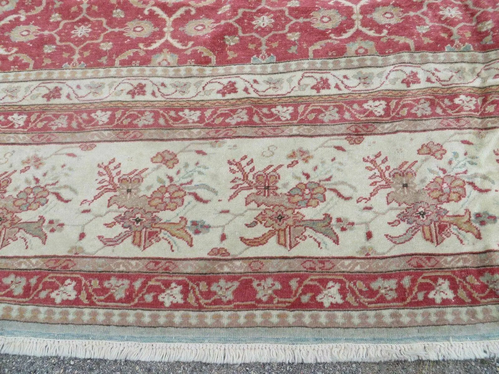 12' X 18' Palace Size Handmade Egyptian Wool Rug Carpet Soft Colors Red & Beige by Jewel Rugs