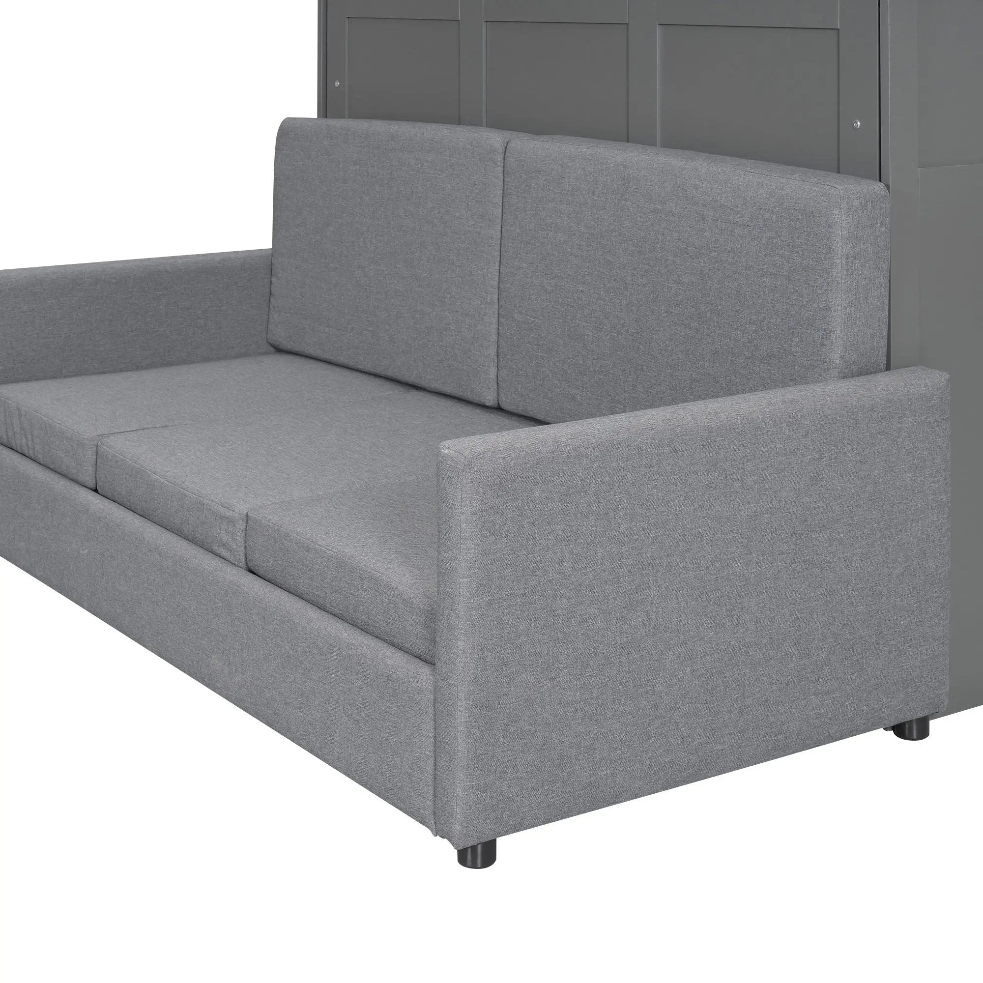 Murphy Wall Bed With Cushion by HouseOfZazla