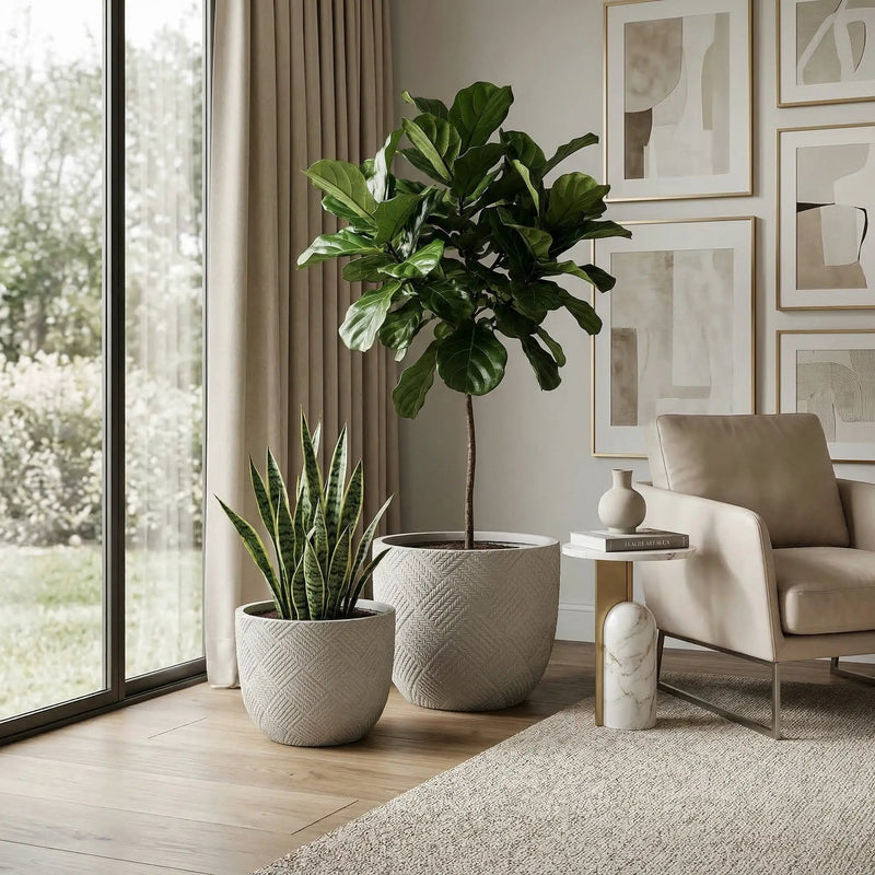 Round Concrete Planter Set of 2 by HouseOfZazla