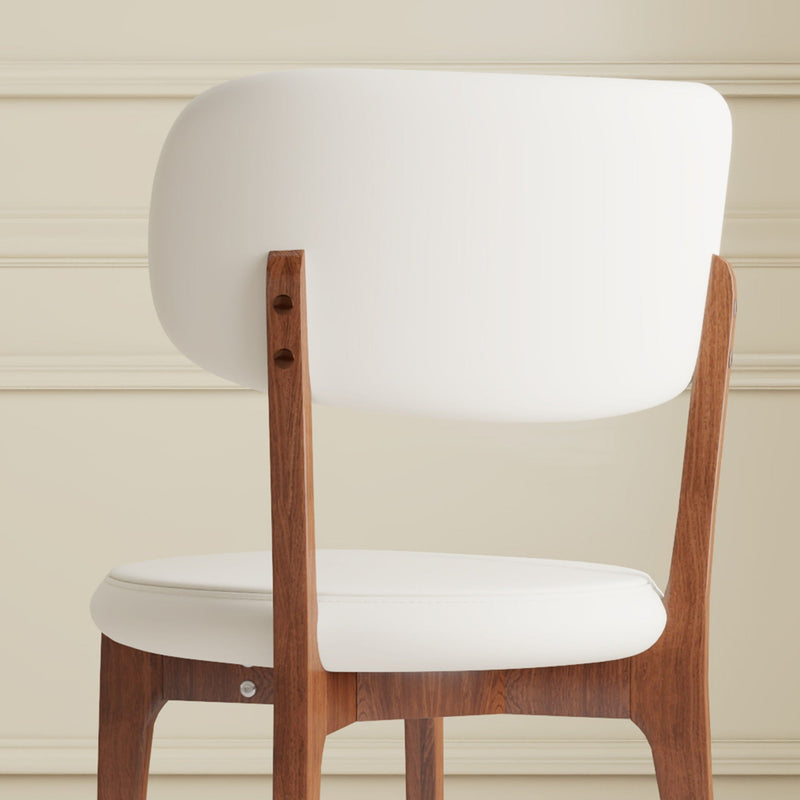 Modern Dining Chairs, Comfortable For Dining Room (Set of 2) - Orange by HouseOfZazla