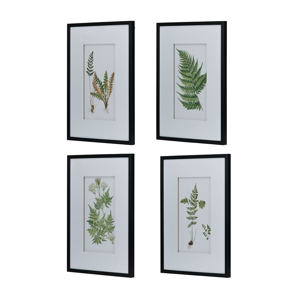 Black and White Botanical and Fern Wall Art Set of 4 with PS Frame - White / Black, photo 11 of 11