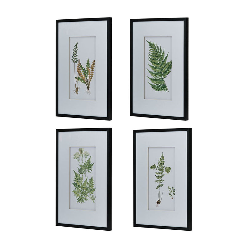Black and White Botanical and Fern Wall Art Set of 4 with PS Frame - White / Black, photo 11 of 11