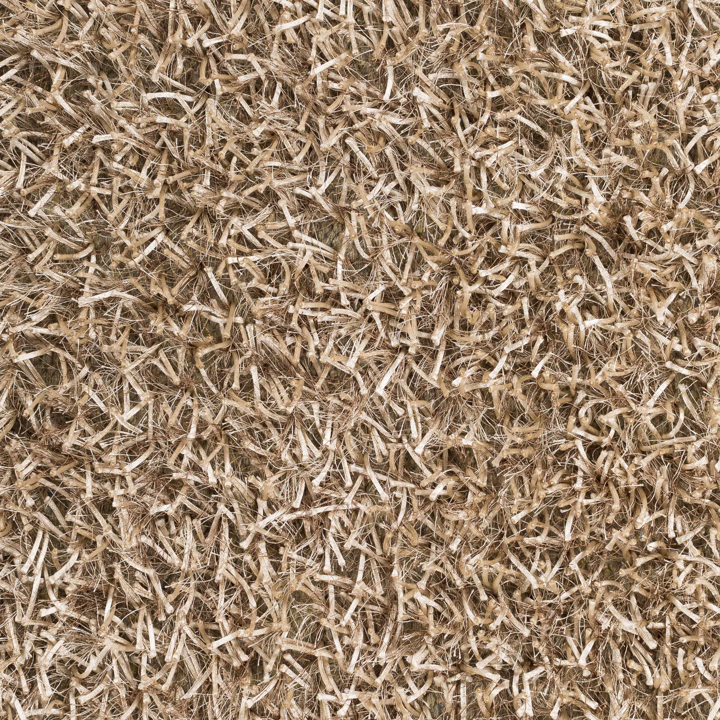 Egan Area Carpet - Clearance by Boutique Rugs