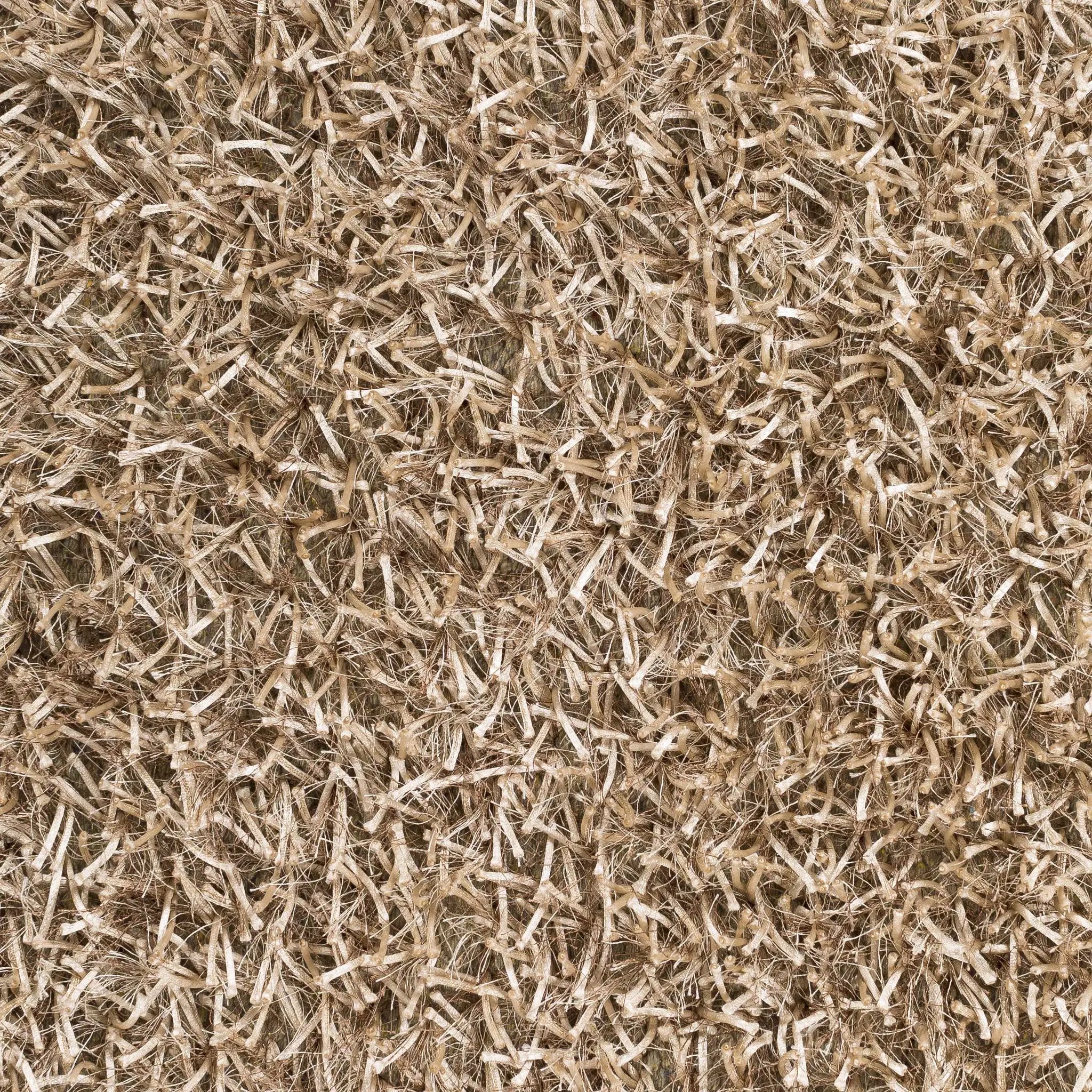 Egan Area Carpet - Clearance by Boutique Rugs