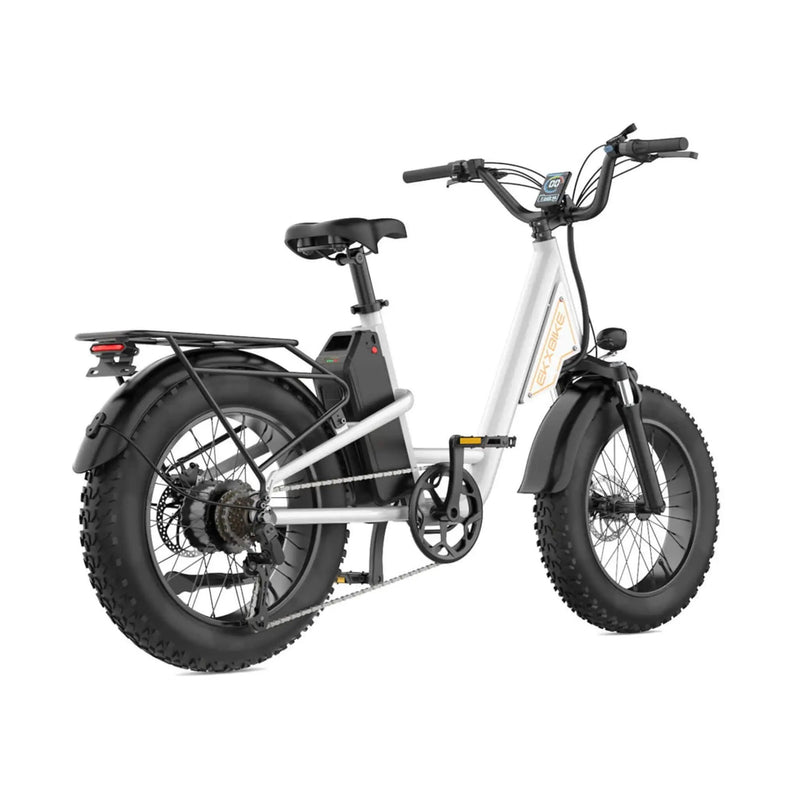 EKX L1 1000W 48V/15.6AH Electric Mountain Fat Tire Bike, 20" (SAK27491) by SAKSBY WHOLESALE