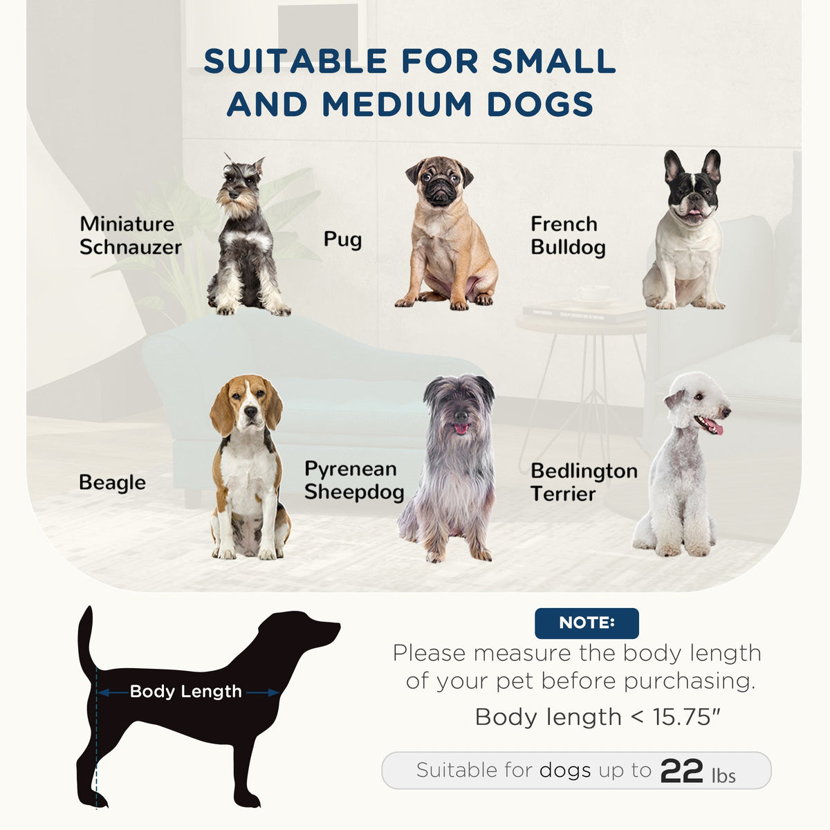 Elevated Pet Sofa Bed with Storage - Small & Medium Dogs, photo 4 of 7