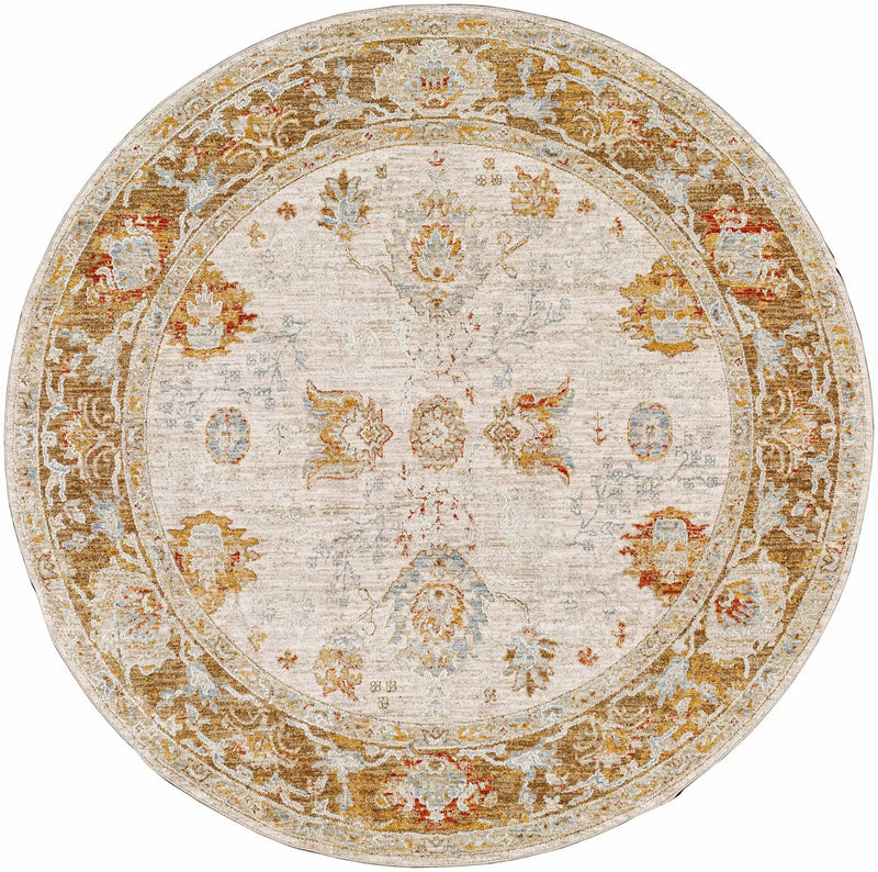 Elloree Traditional Thick Luxe Statement Rug - Clearance by Boutique Rugs