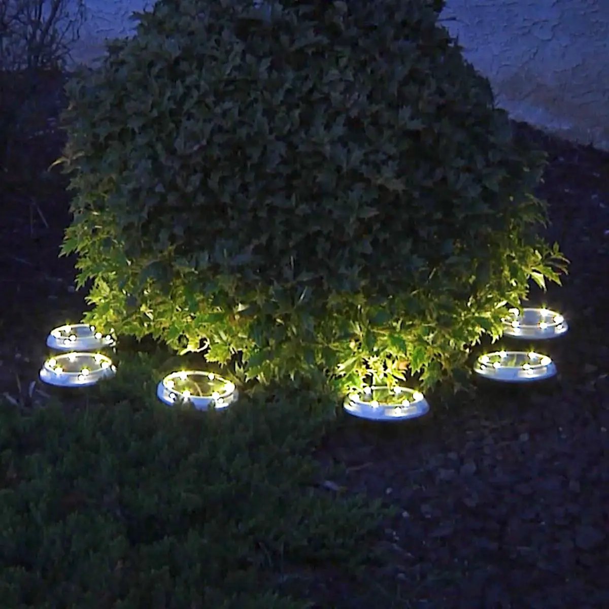 Energizer 10-pc Solar Disc Lights Multi-Direction 20 Lumen by Outdoor Solar Outlet