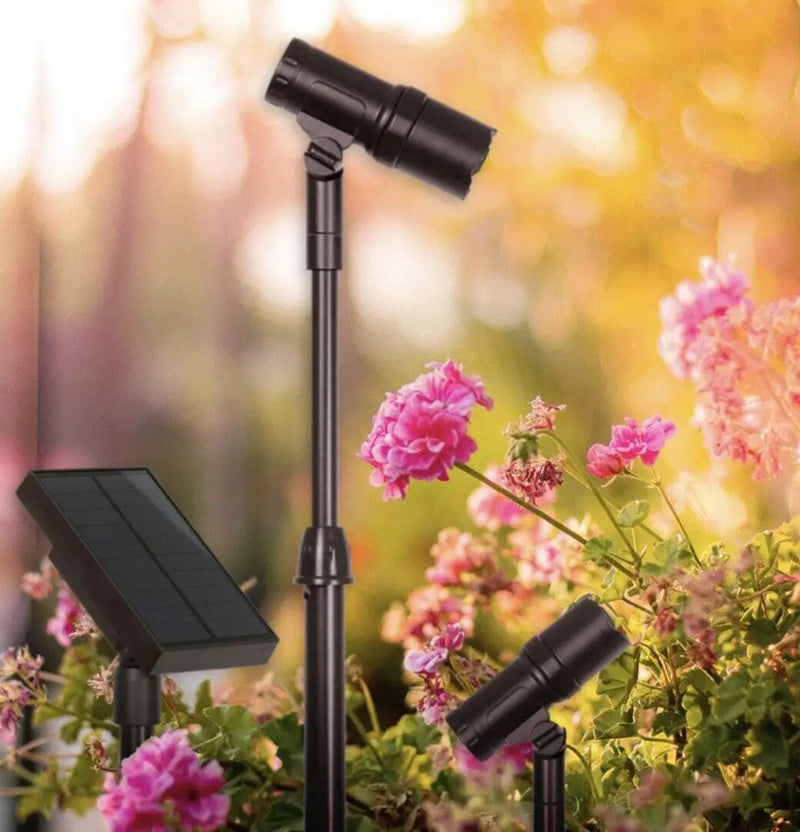 Energizer 100 Lumen Solar LED Spot/Flood Light with Pole (2 Piece) by Outdoor Solar Outlet