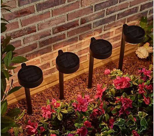 Energizer 20 Lumen Set of 4 Down light Aluminum Solar Pathway Lights by Outdoor Solar Outlet
