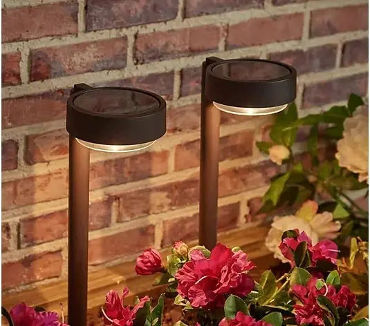 Energizer 20 Lumen Set of 4 Down light Aluminum Solar Pathway Lights by Outdoor Solar Outlet