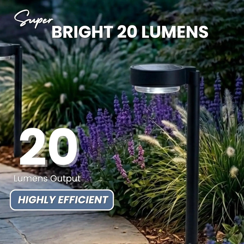 Energizer 20 Lumen Set of 4 Down light Aluminum Solar Pathway Lights by Outdoor Solar Outlet