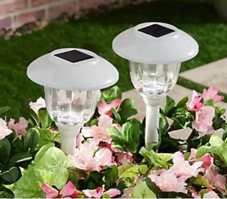 Energizer Solar Outdoor Pathway Lights Stainless Steel And Glass LED Lights- 8 Pack by Outdoor Solar Outlet