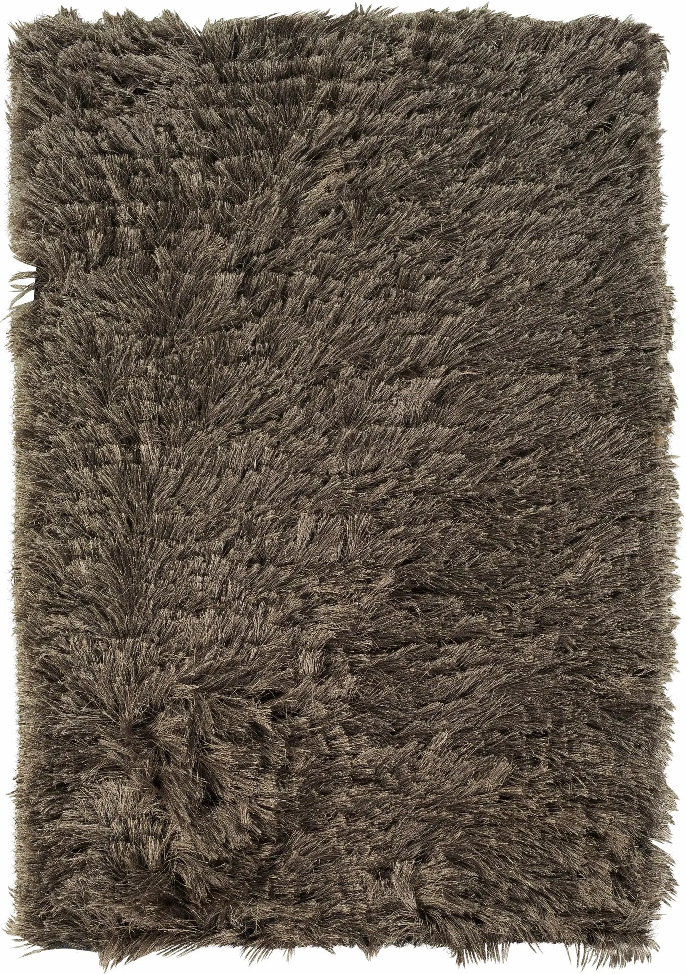 Erial Area Carpet - Clearance by Boutique Rugs