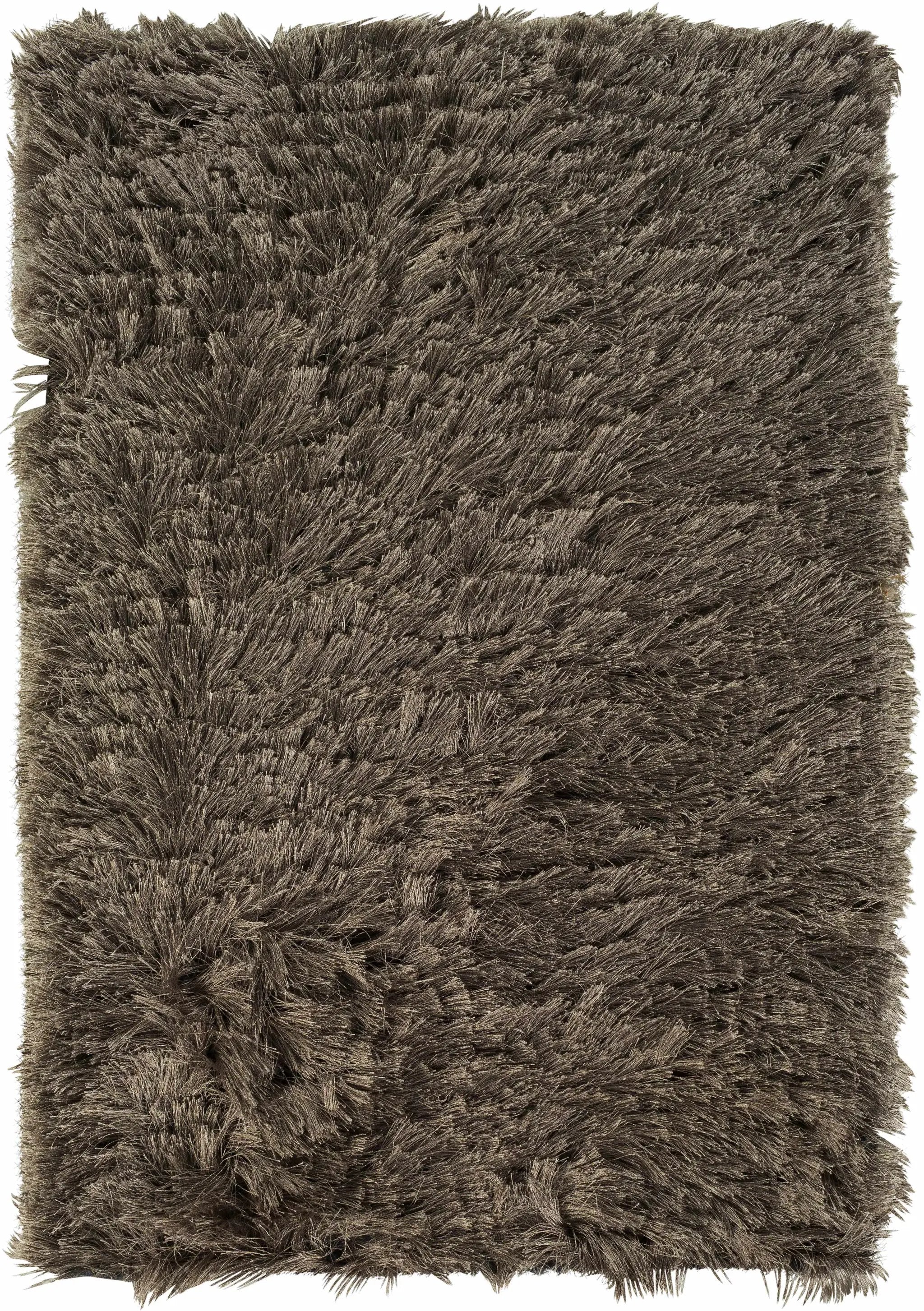 Erial Area Carpet - Clearance by Boutique Rugs