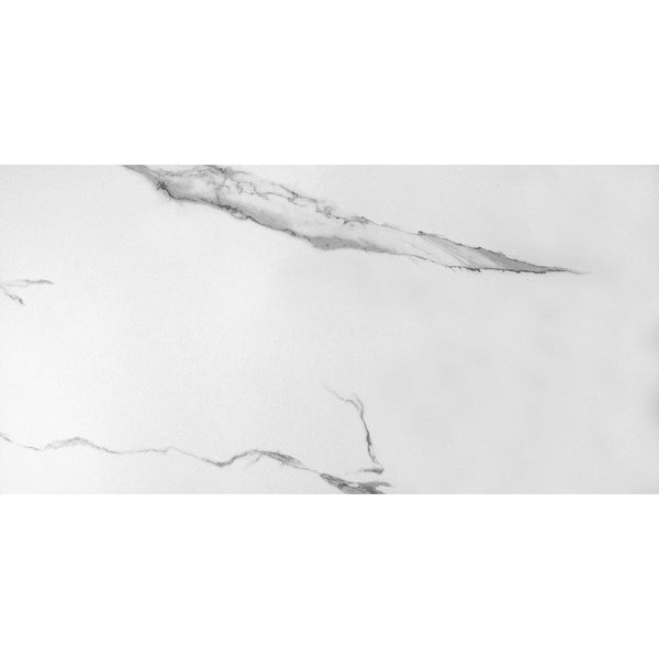 Estatuario Matte Marble Look Porcelain Tiles 24x48