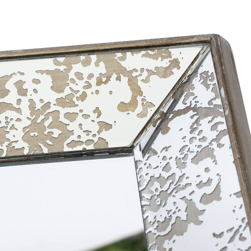 Antique Rectangle Mirror with Floral Accents - Pearl Silver, photo 23 of 25