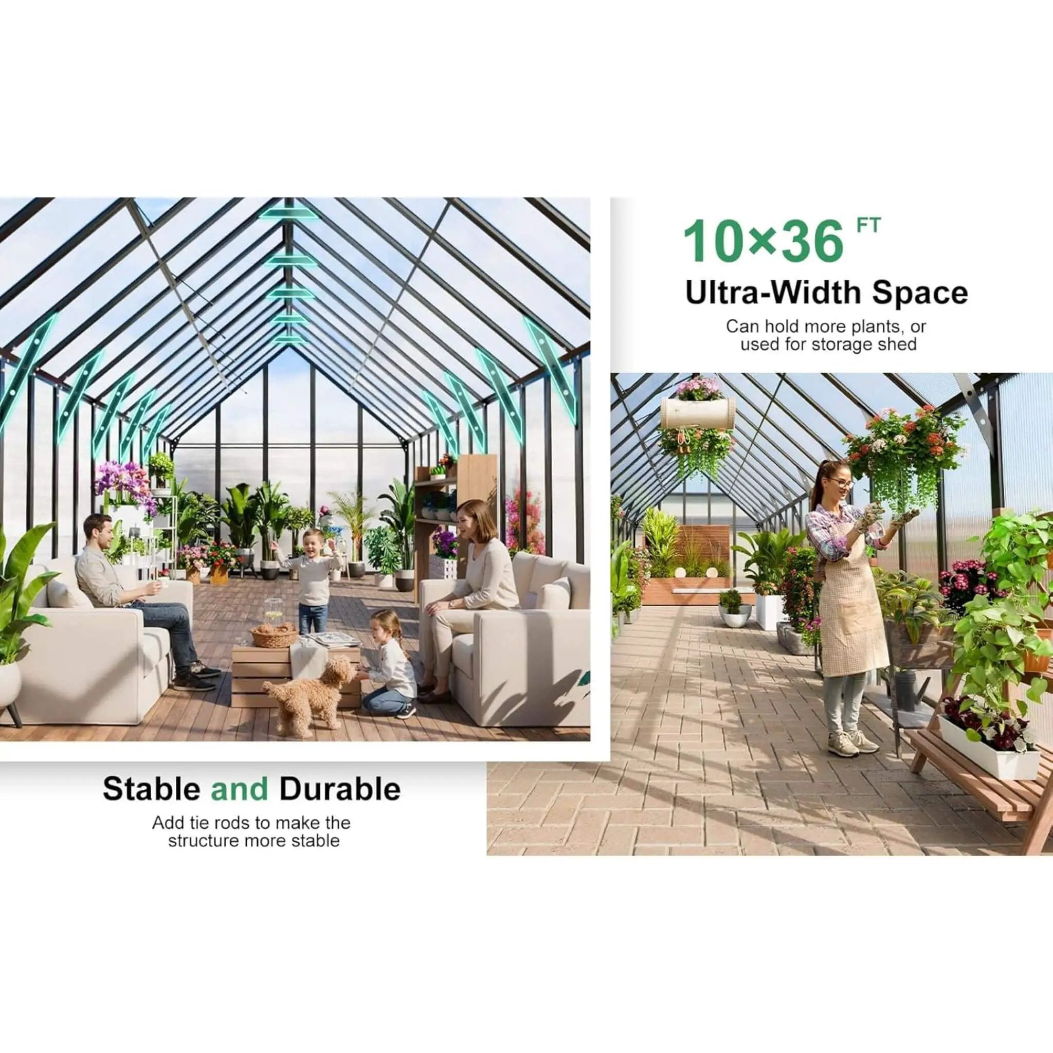 [10X36FT] Extra-Large Heavy-Duty Outdoor Walk-In Greenhouse With Adjustable Roof Vents, 4MM (SAK26174) by SAKSBY WHOLESALE